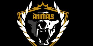 Cyberpunk 2077 – poznaliśmy kolejne frakcje Night City Cyberpunk 2077 Animals