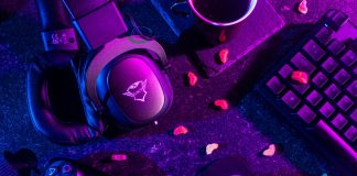 Po co graczowi serwer VPS?