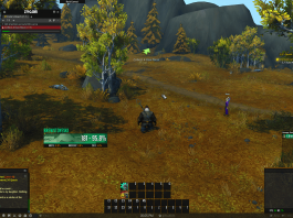 World of Warcraft: wydawca banuje graczy podejrzanych o nieuczciwe rajdy World of Warcraft