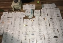 Policja złapała handlarza płytami DVD z nielegalnym softem 300 DVD