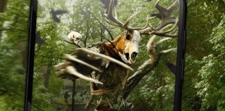 The Witcher: Monster Slayer – gra udostępniona w kolejnym kraju. Zbliża się globalna premiera? Witcher Monster Slayer