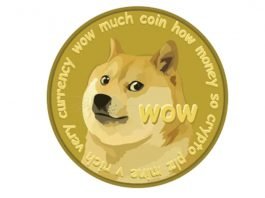 Kryptowaluta mem Dogecoin stała się akceptowanym środkiem płatniczym w sklepie Newegg Dogecoin