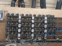 Plantacja marihuany okazała się nielegalną kopalnią kryptowalut kopalnia kryptowalut