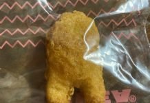 Kawałek kurczaka wyglądający jak postać z Among Us sprzedany za 100 tys. dolarów among us