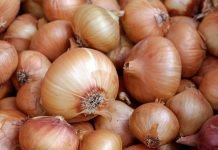 Za smartfon zapłacił 849 cebul. Prawdziwy cebula deal x-kom cebula deal