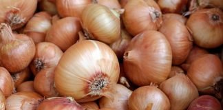 Za smartfon zapłacił 849 cebul. Prawdziwy cebula deal x-kom cebula deal