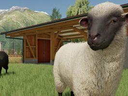 Farming Simulator 22 – teraz zajmiemy się hodowlą owiec, truskawek i pszczół Farming Simulator 22