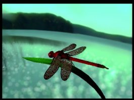 Demoscena w Polsce wpisana na listę niematerialnego dziedzictwa kulturowego UNESCO demoscena