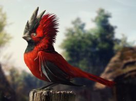CD Projekt RED buduje armię programistów cd projekt red