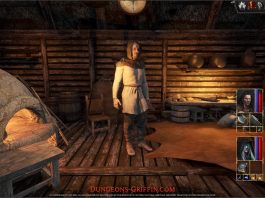 Polskie studio Frozengem chwali się kreatorem postaci w swojej najnowszej grze RPG