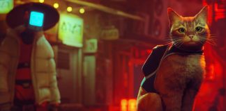 Sony wymienia zdjęcia kotów na 25 tys. dolarów na rzecz obrońców praw zwierząt