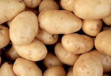 Starfield – po co graczowi 20 tysięcy ziemniaków w kokpicie?