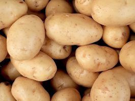 Starfield – po co graczowi 20 tysięcy ziemniaków w kokpicie?