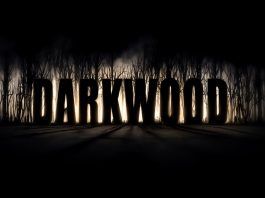 Polski deweloper zamieszcza grę Darkwood w sieci Torrent
