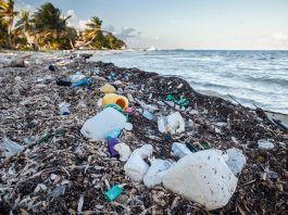 Dell jako ekologiczny zbawca. W kwietniu rozpoczną produkcję opakowań z plastykowych odpadów