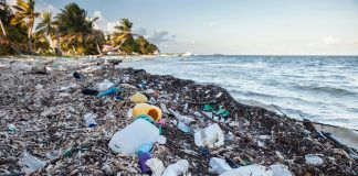 Dell jako ekologiczny zbawca. W kwietniu rozpoczną produkcję opakowań z plastykowych odpadów