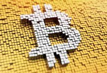 Koparka w oleju? Zobacz kopalnię kryptowalut w oleju mineralnym Bitcoin