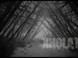 Recenzja Kholat (PC)