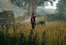 Aresztowano 120 osób zamieszanych w proces tworzenia i dystrybucji oprogramowania do hakowania PUBG