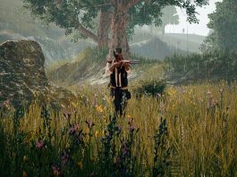 Aresztowano 120 osób zamieszanych w proces tworzenia i dystrybucji oprogramowania do hakowania PUBG