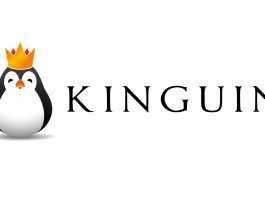 Była minister cyfryzacji obejmie stanowisko członka zarządu Team Kinguin