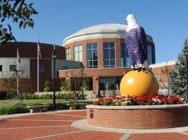 Uniwersytet daje stypendium najlepszym graczom Fortnite