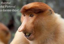 Humble Bundle rozdaje grę za darmo