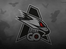 AGO Esports zaproszone na DreamHack Open Summer 2018