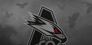 AGO Esports zaproszone na DreamHack Open Summer 2018