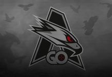 AGO Esports z awansem do finału OGA Counter PIT