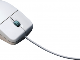 Historia gryzonia – ewolucja myszki komputerowej w pigułce