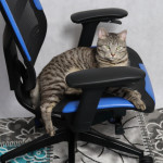 Vertagear Triigger 275 Blue