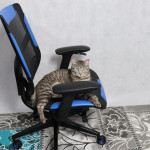 Vertagear Triigger 275 Blue
