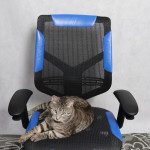 Vertagear Triigger 275 Blue