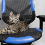 Vertagear Triigger 275 Blue