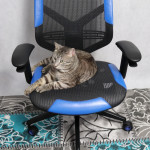 Vertagear Triigger 275 Blue