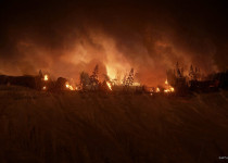 The Last of Us Part II